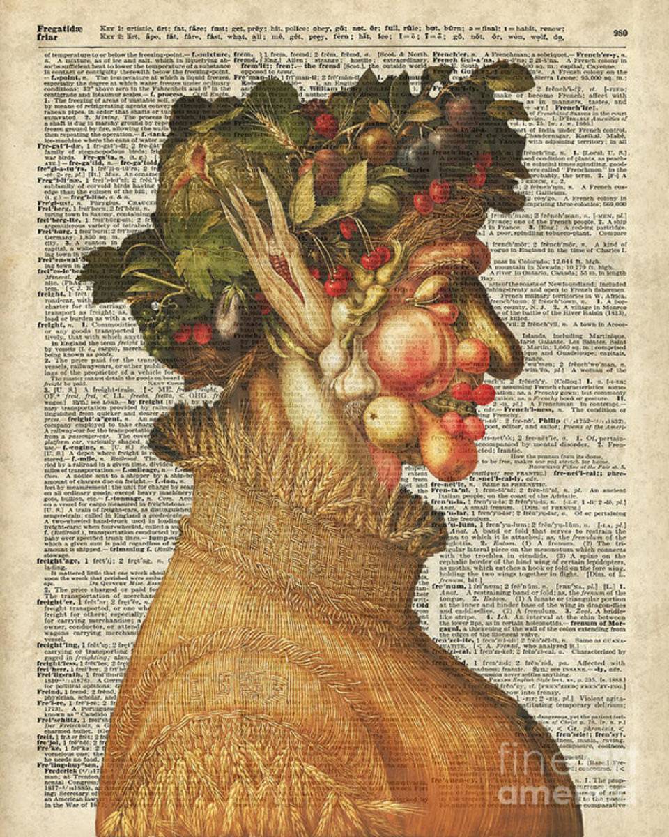 Arcimboldo Summer On Dictionary Page - Poster | Canvas Wall Art Print