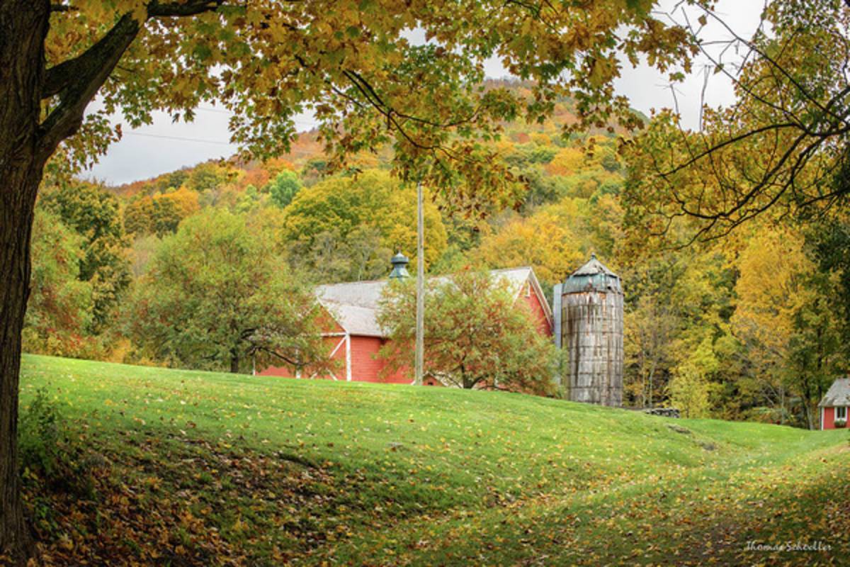 Autumn Dreams - Dorset Vermont - Poster | Canvas Wall Art Print