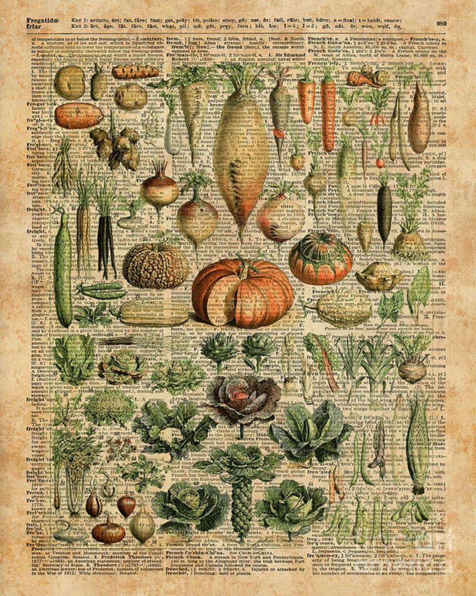 Autumn Fall Vegetables Kiche Harvest Thanksgiving Dictionary Art Vintage Cottage Chic - Poster | Canvas Wall Art Print