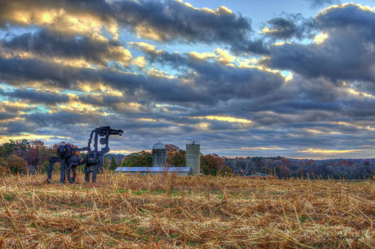 Autumn Rest The Iron Horse Sunrise Farm Art - Poster | Canvas Wall Art Print
