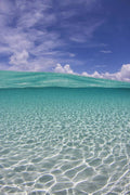 Bahama Beauty - Poster | Canvas Wall Art Print