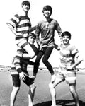 Beatle Beach - Poster | Canvas Wall Art Print
