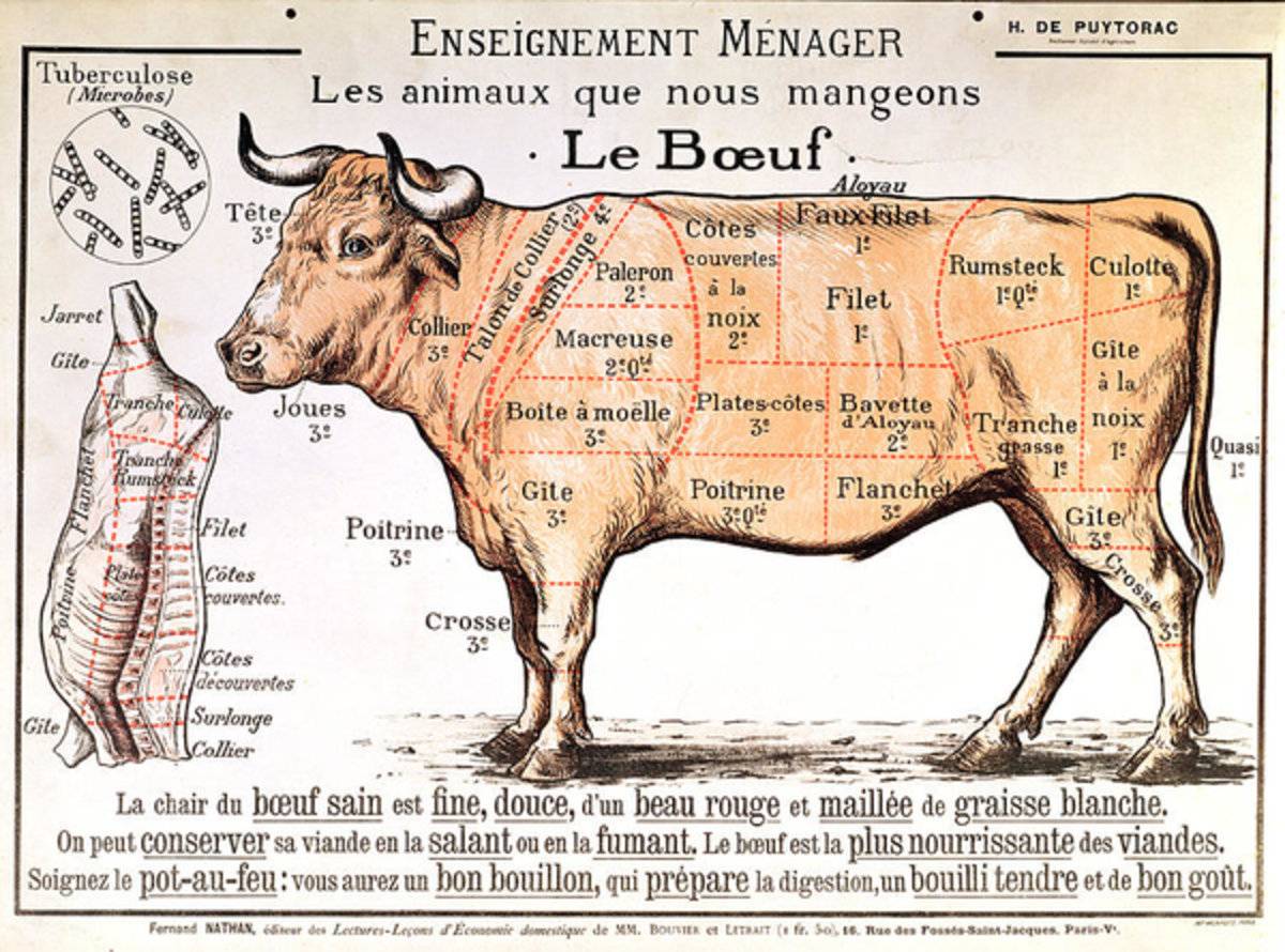 Beef - Poster | Canvas Wall Art Print