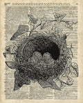 Bird Nest With Eggs - Poster | Canvas Wall Art Print