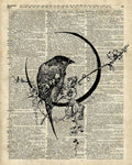 Black Raven Bird - Poster | Canvas Wall Art Print