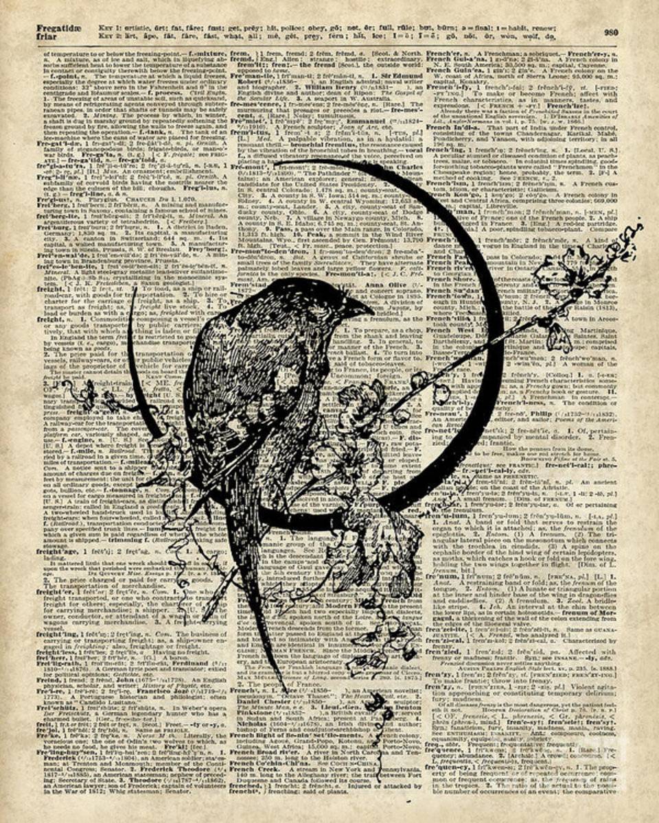 Black Raven Bird - Poster | Canvas Wall Art Print