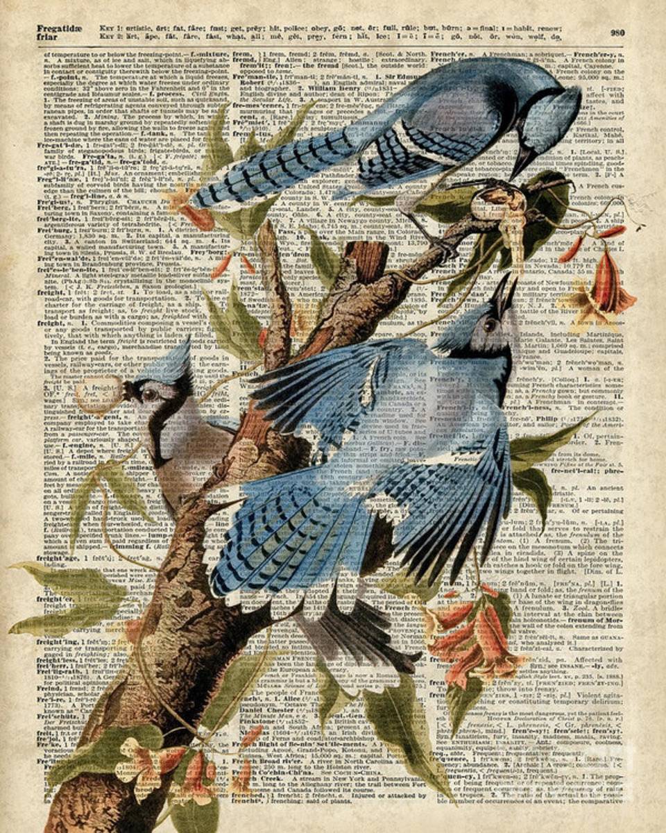 Blue Birds Vintage Illustration Dictionary Art - Poster | Canvas Wall Art Print