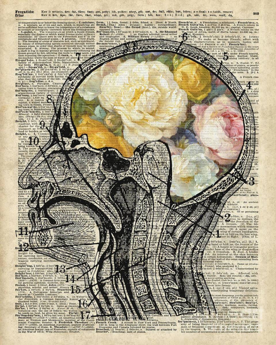 Brain Full Of Flowers Dictionary Art - Poster | Canvas Wall Art Print
