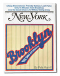 Brooklyn The Sane Alternative - Poster | Canvas Wall Art Print