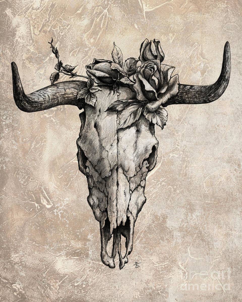 Bull Skull And Rose - Poster | Canvas Wall Art Print