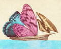 Butterfly Ship - Poster | Canvas Wall Art Print