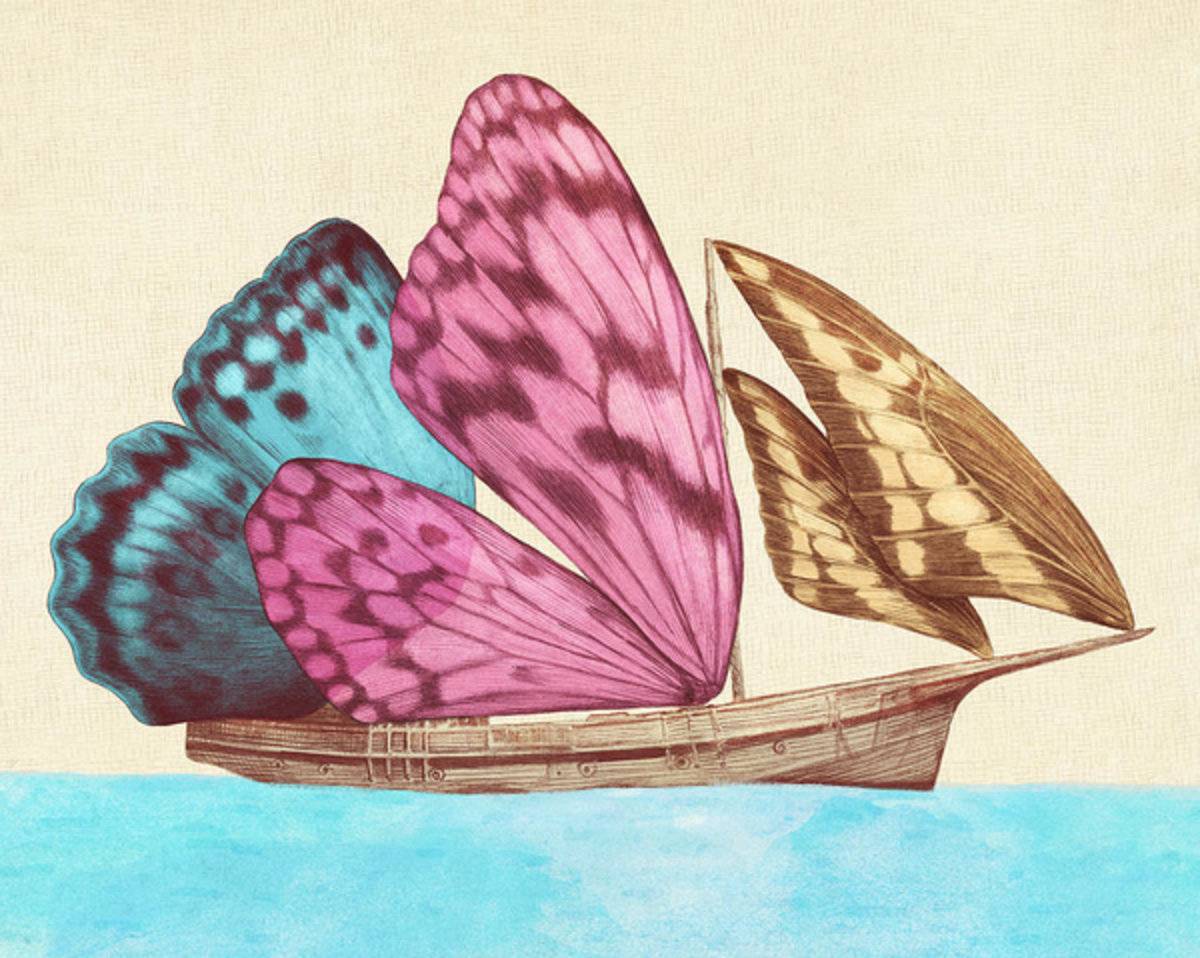 Butterfly Ship - Poster | Canvas Wall Art Print