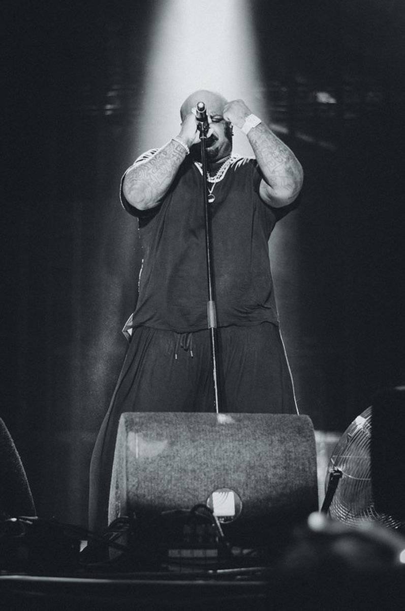 Ceelo Green Playing Live - Rapper - Poster | Canvas Wall Art Print