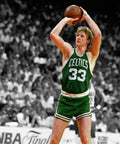 Celtics Legend Larry Bird - Poster | Canvas Wall Art Print