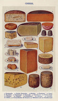 Cheese 1900S Uk Isabella Beeton Mrs - Poster | Canvas Wall Art Print