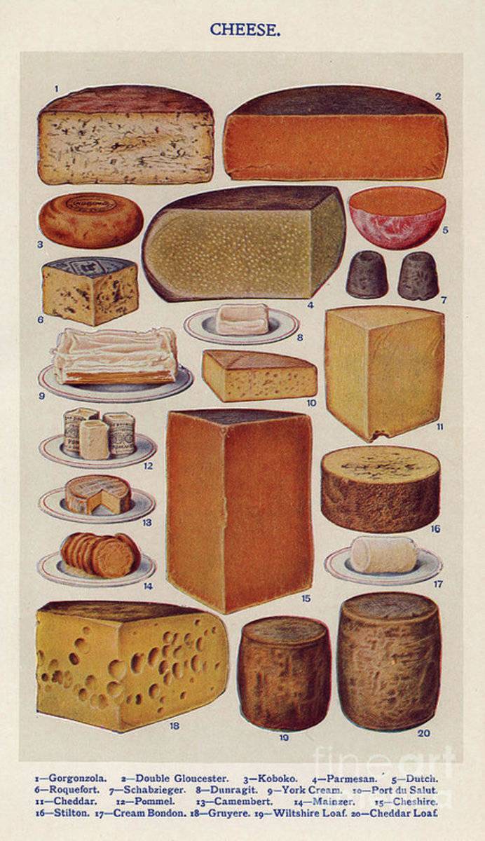 Cheese 1900S Uk Isabella Beeton Mrs - Poster | Canvas Wall Art Print