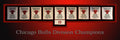 Chicago Bulls Division Champions Banners - Poster | Canvas Wall Art Print