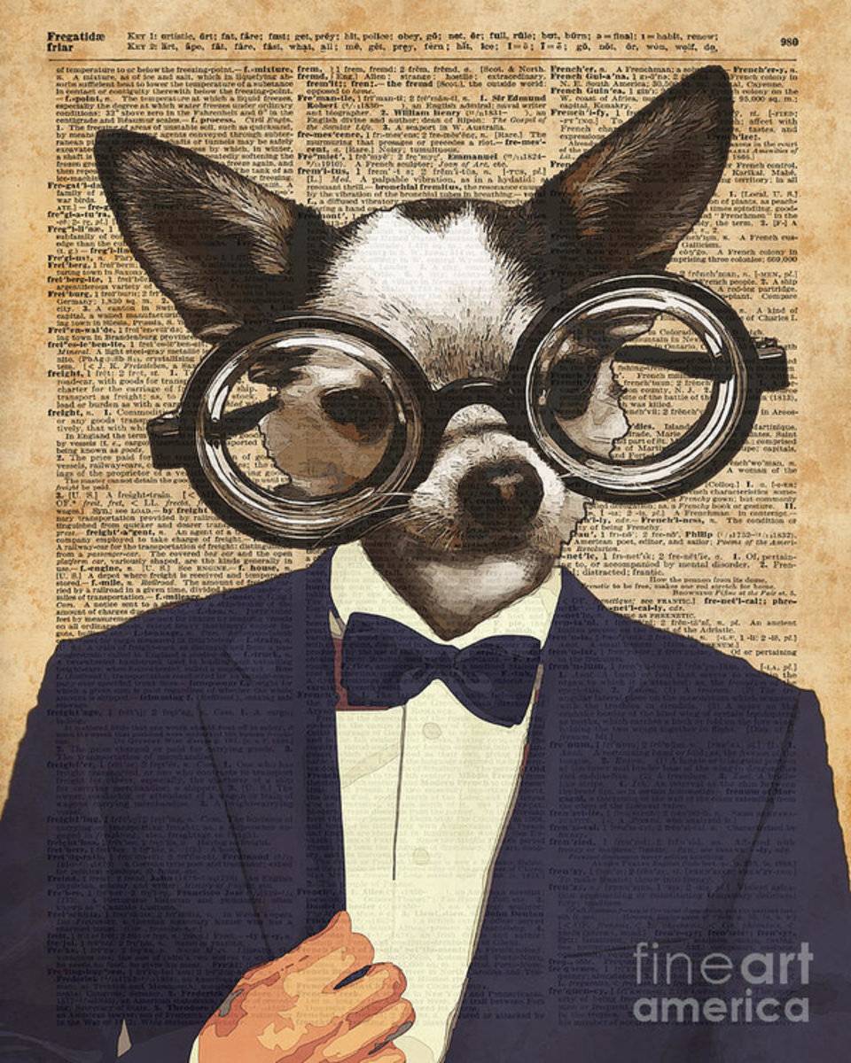 Chihuahua Hipster Dictionary Art - Poster | Canvas Wall Art Print