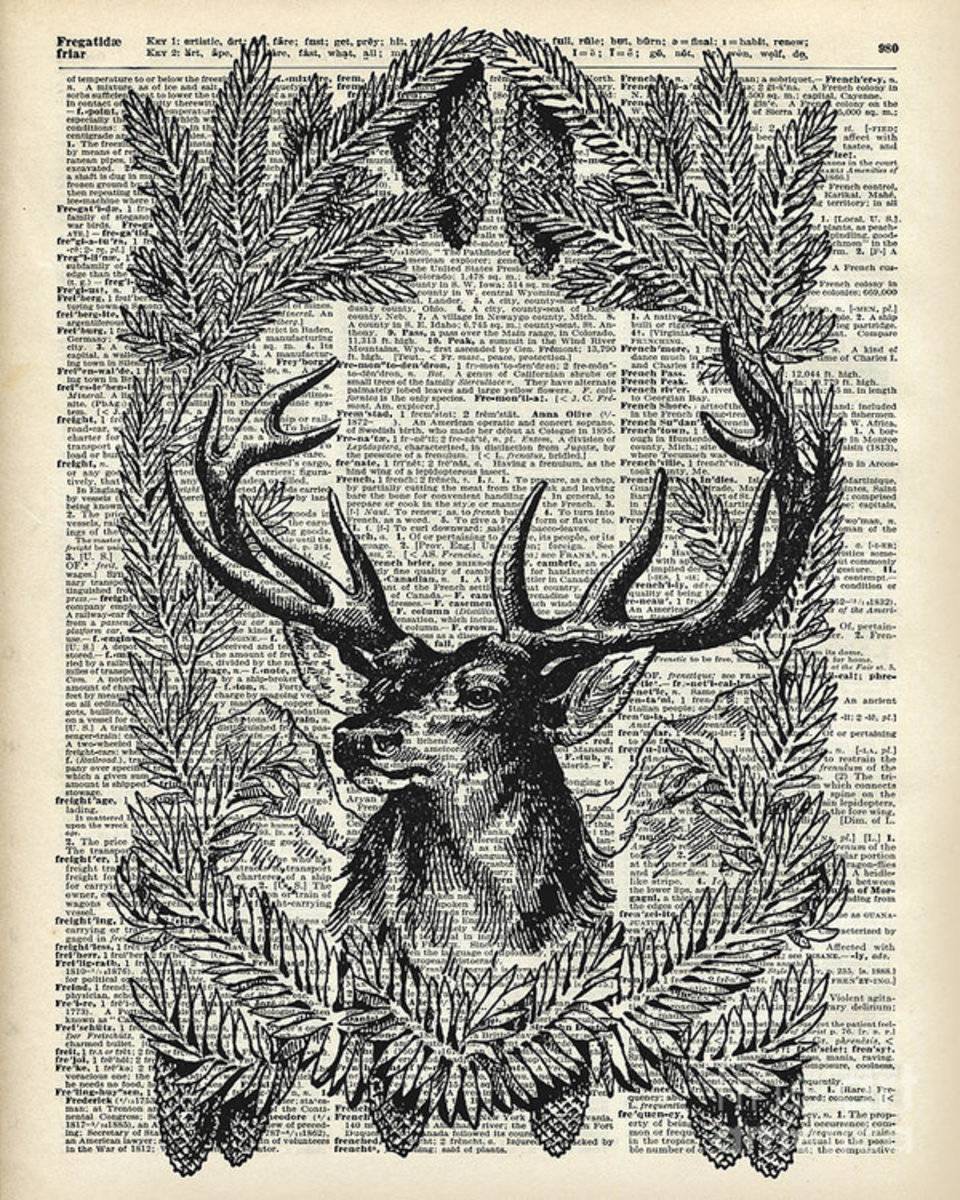 Christmas Stag - Poster | Canvas Wall Art Print