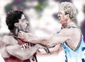 Clash Of The Titans 1984 - Bird And Doctor J - Poster | Canvas Wall Art Print