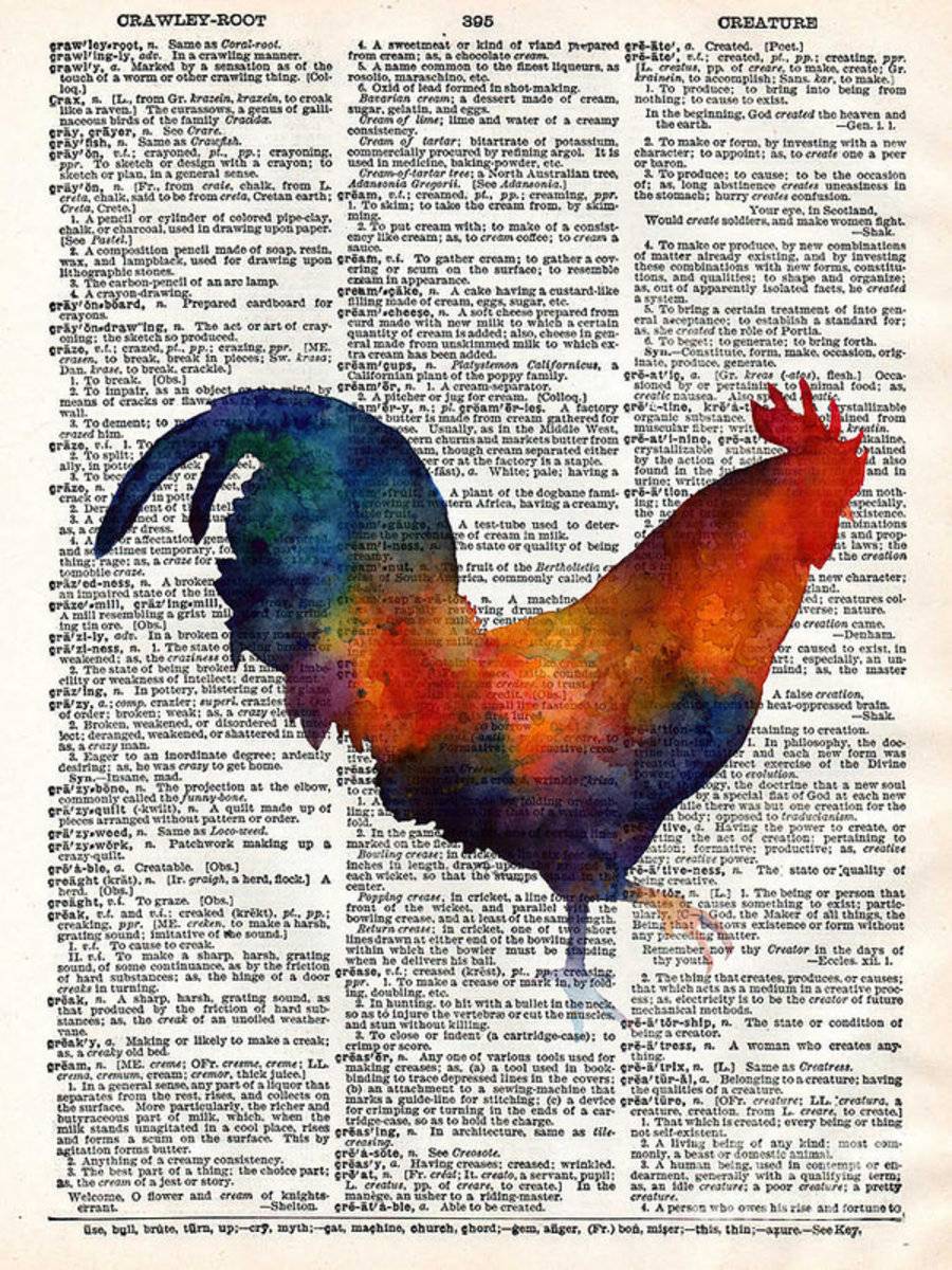 Colorful Rooster On Vintage Dictionary - Poster | Canvas Wall Art Print