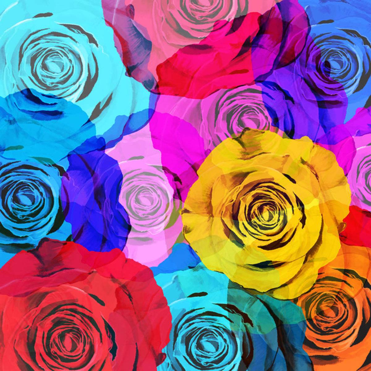 Colorful Roses Design - Poster | Canvas Wall Art Print