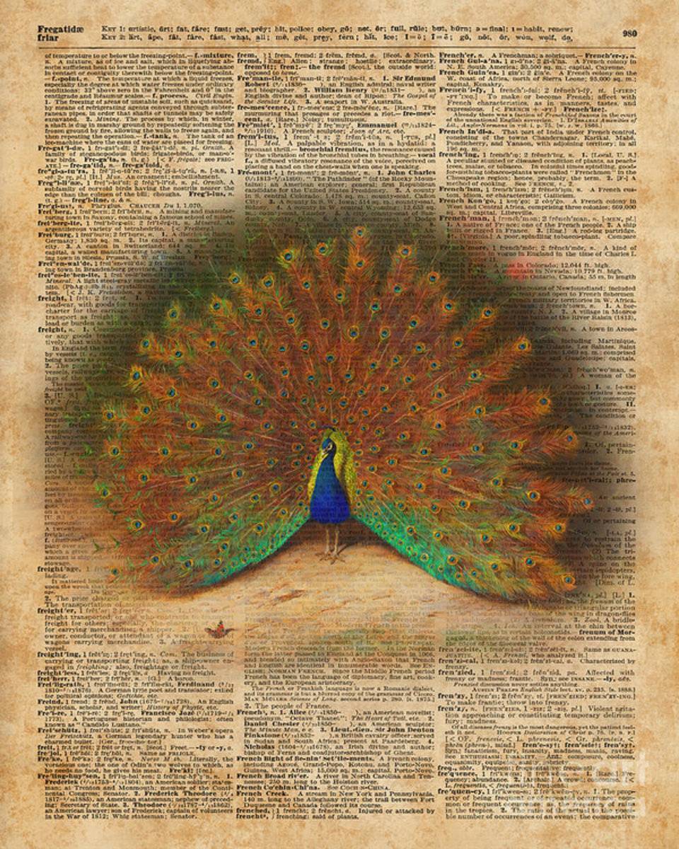 Colourful Beautiful Peacock Vintage Dictionary Art - Poster | Canvas Wall Art Print