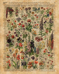 Colourful Meadow Flowers Over Vintage Dictionary Book Page - Poster | Canvas Wall Art Print