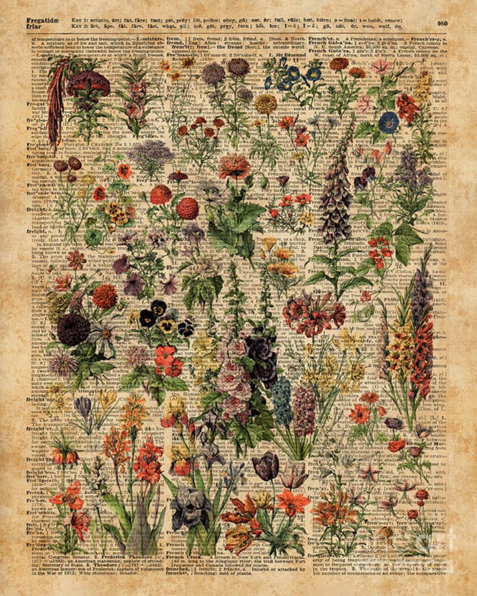 Colourful Meadow Flowers Over Vintage Dictionary Book Page - Poster | Canvas Wall Art Print