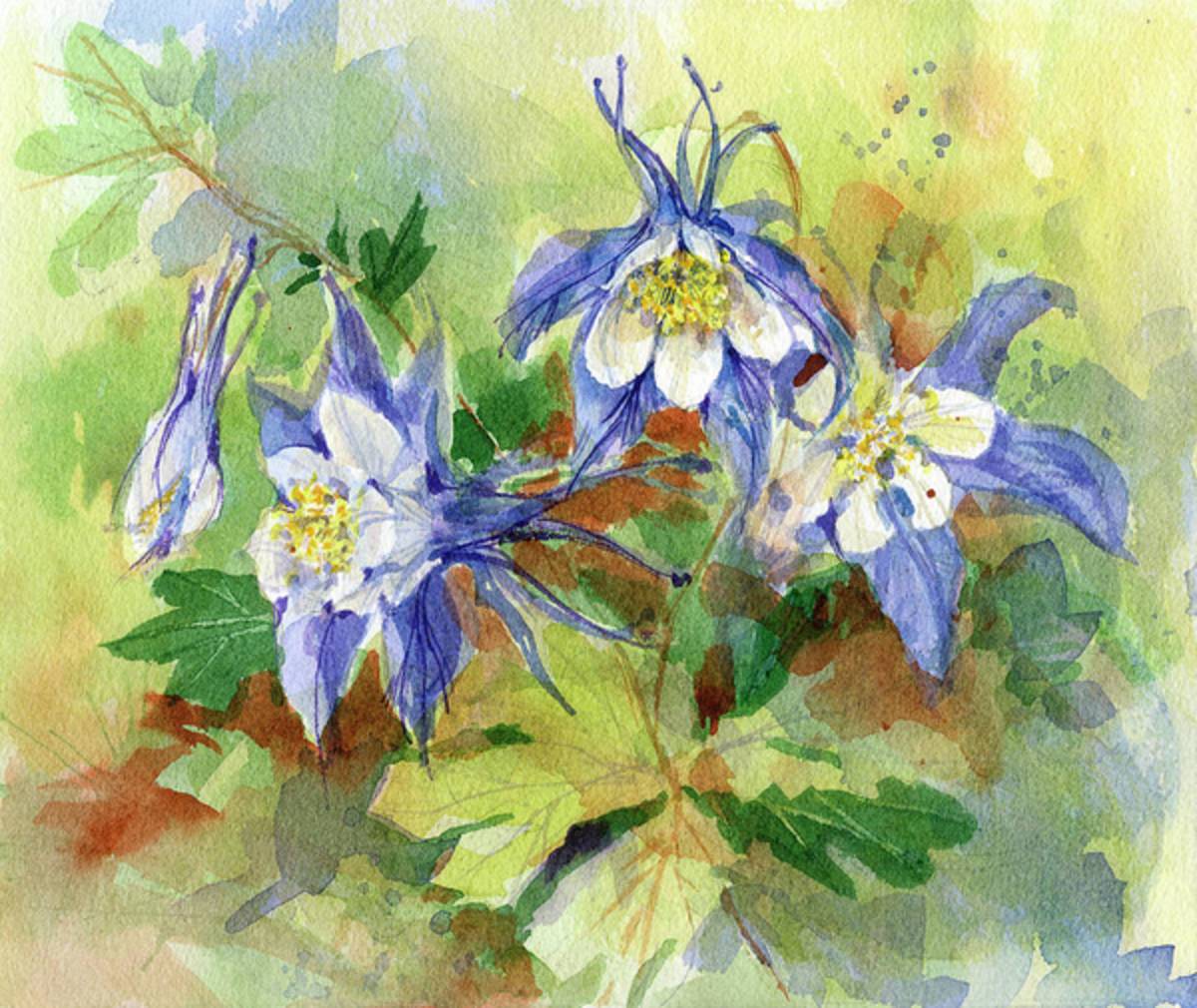 Columbine - Poster | Canvas Wall Art Print