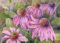 Coneflower - Poster | Canvas Wall Art Print