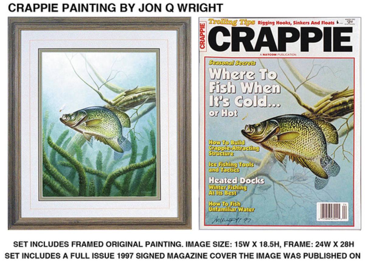 Crappie And Minnows - Poster | Canvas Wall Art Print