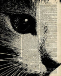 Cute Cat Illustration Over Old Dictionary Page - Poster | Canvas Wall Art Print