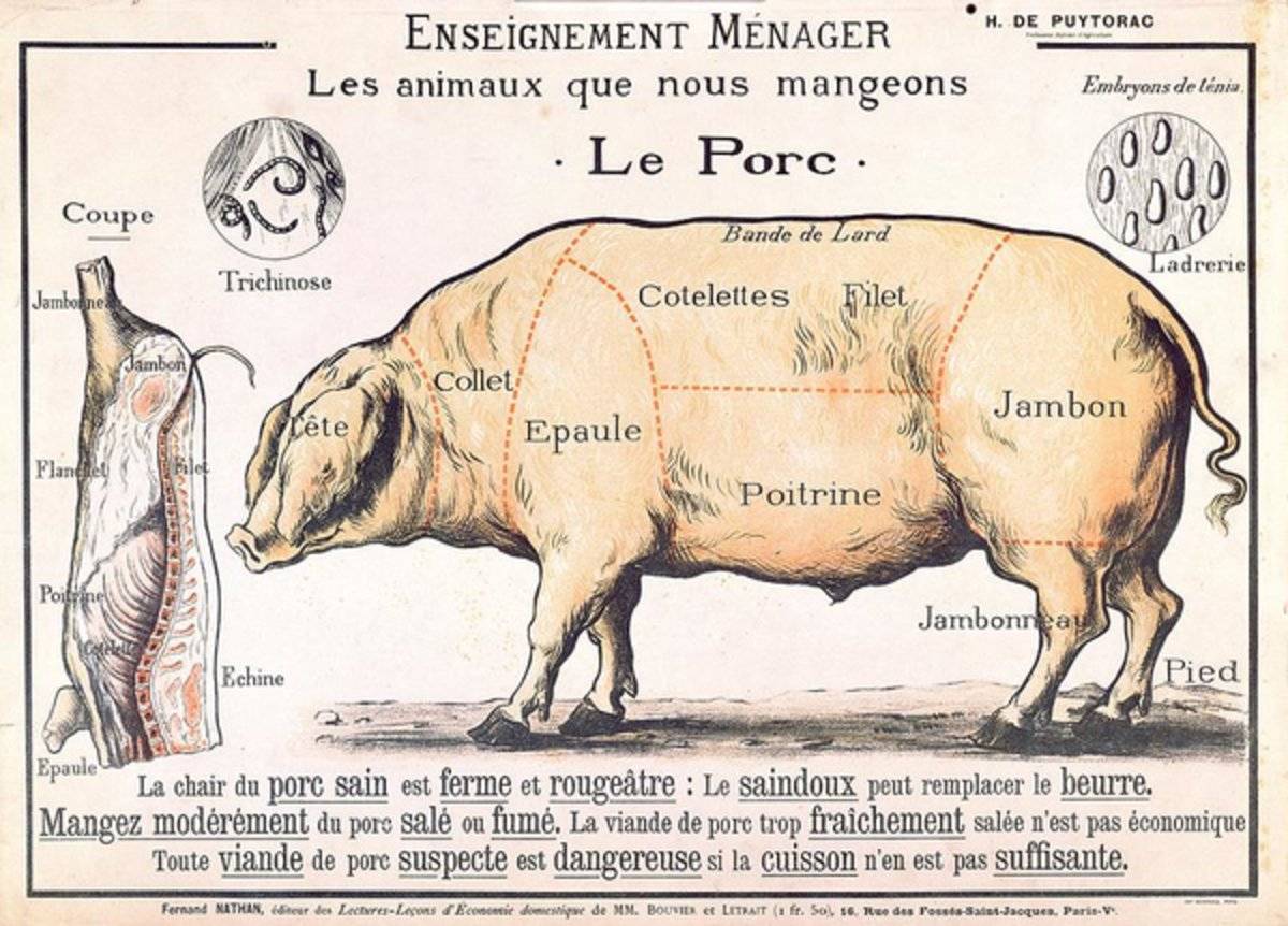 Cuts Of Pork - Poster | Canvas Wall Art Print