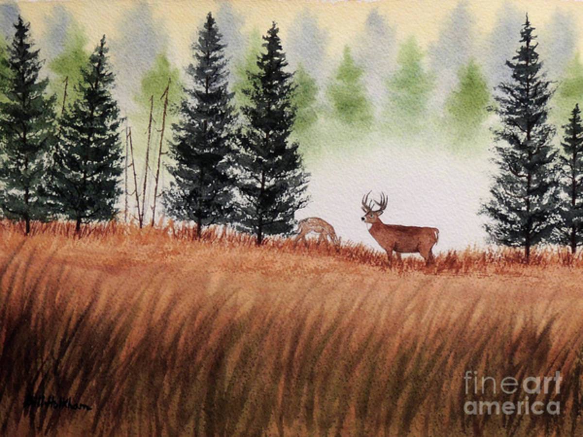 Deer On A Misty Morning - Poster | Canvas Wall Art Print