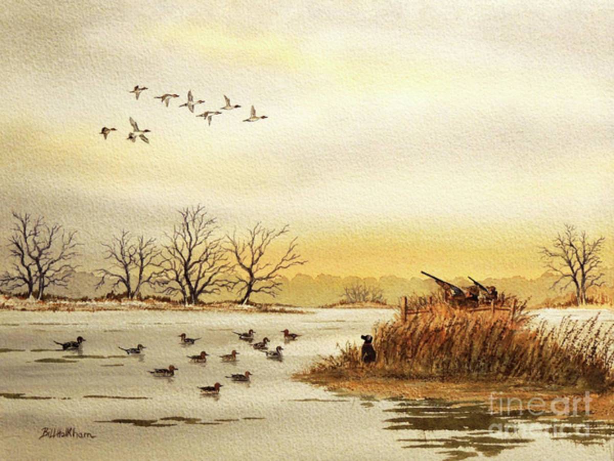 Duck Hunting For Pintails - Poster | Canvas Wall Art Print