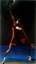 Dwade Eclipse - Poster | Canvas Wall Art Print