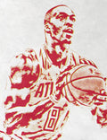 Dwight Howard Atlanta Hawks Pixel Art - Poster | Canvas Wall Art Print