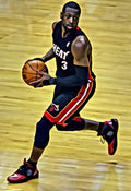 Dwyane Wade Portrait - Poster | Canvas Wall Art Print