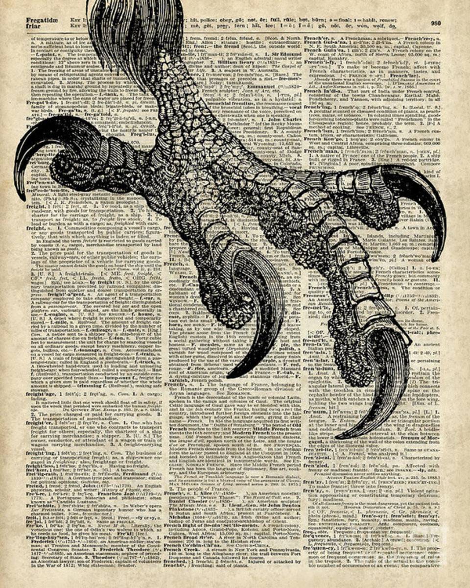 Eagle Talon On Dictionary Page - Poster | Canvas Wall Art Print