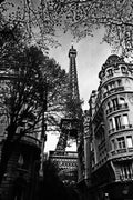 Eiffel Tower Black And White - Poster | Canvas Wall Art Print