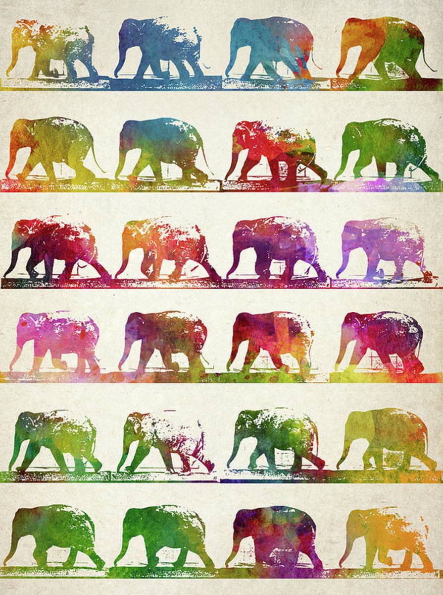 Elephant Animal Locomotion - Poster | Canvas Wall Art Print