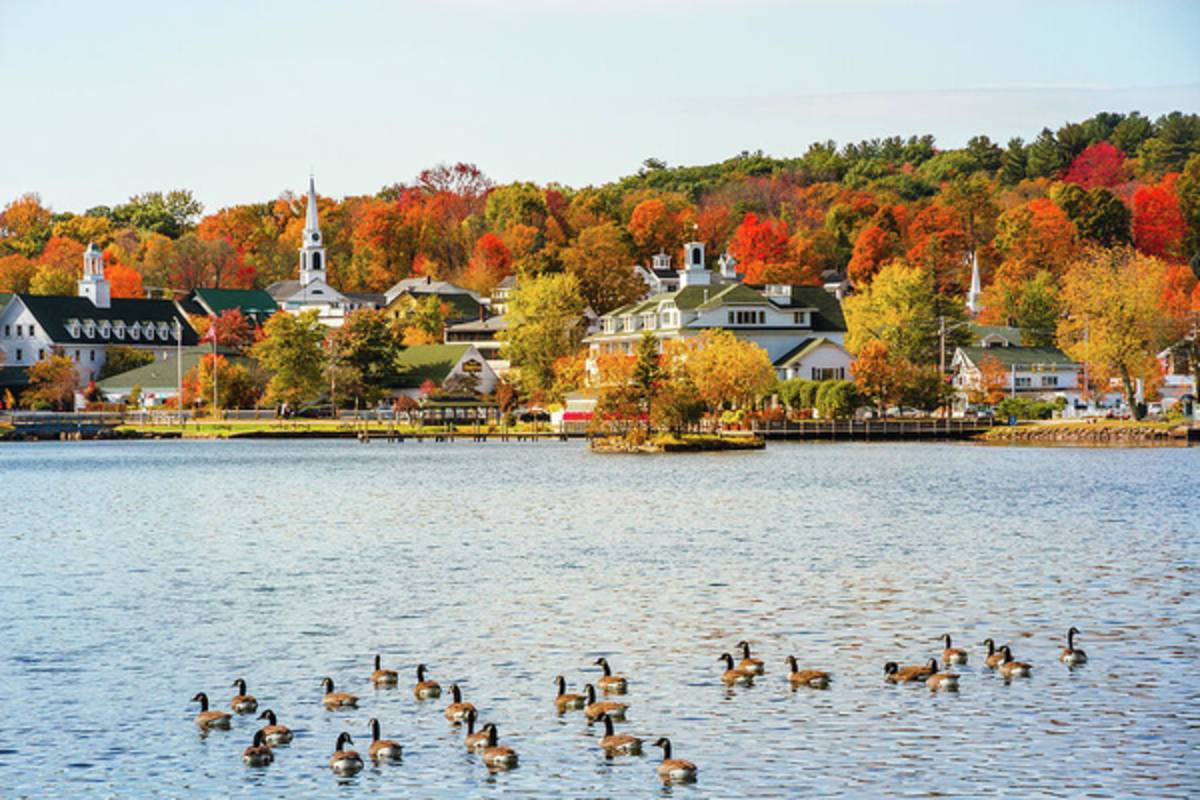 Fall In Meredith Bay - Poster | Canvas Wall Art Print