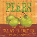 Farm Fresh Fruit 1 - Poster | Canvas Wall Art Print