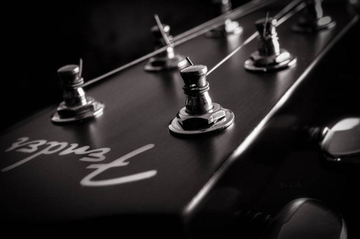 Fender Acoustic I - Poster | Canvas Wall Art Print