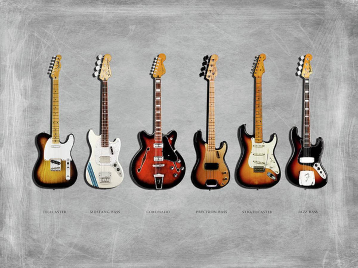 Fender Guitar Collection - Poster | Canvas Wall Art Print
