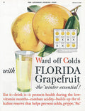 Florida Grapefruit 1920S Usa Colds Flu - Poster | Canvas Wall Art Print