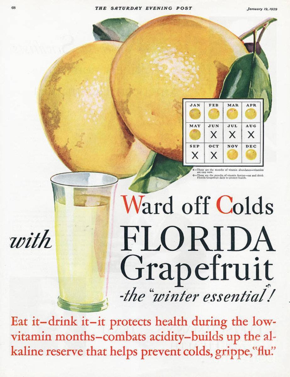Florida Grapefruit 1920S Usa Colds Flu - Poster | Canvas Wall Art Print