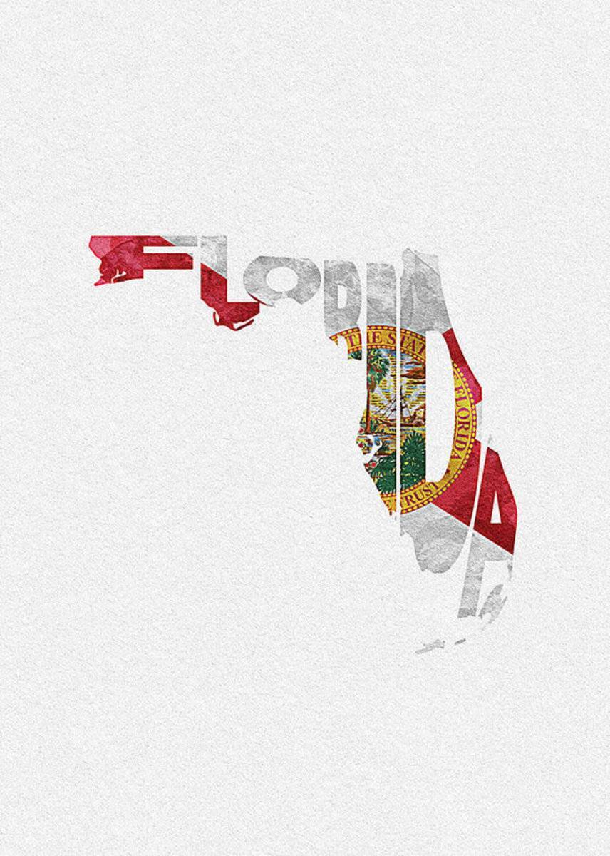 Florida Typographic Map Flag - Poster | Canvas Wall Art Print