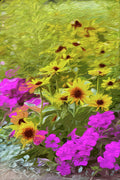 Flower Bed - Poster | Canvas Wall Art Print
